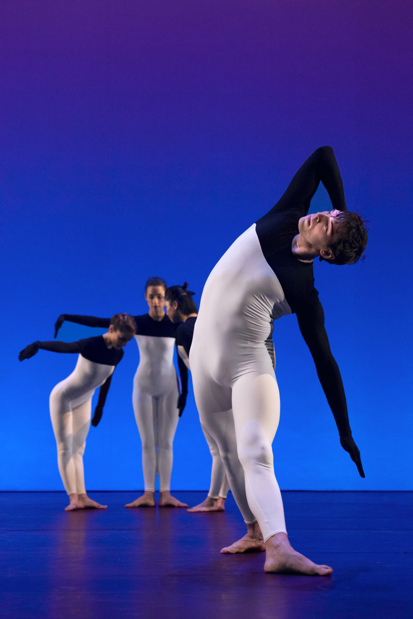 Beach Birds / Hommage à Merce Cunningham