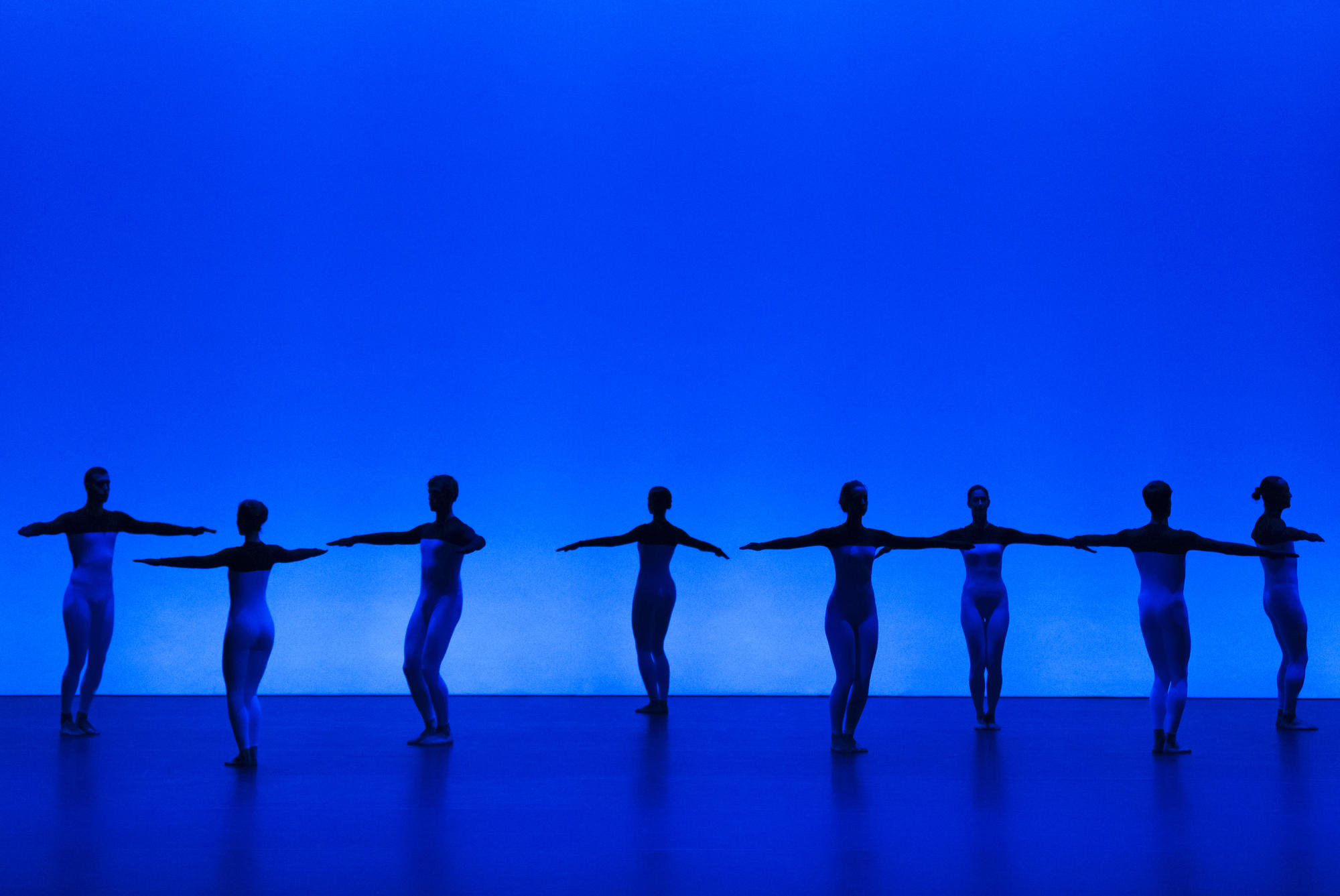 Beach Birds / Hommage à Merce Cunningham