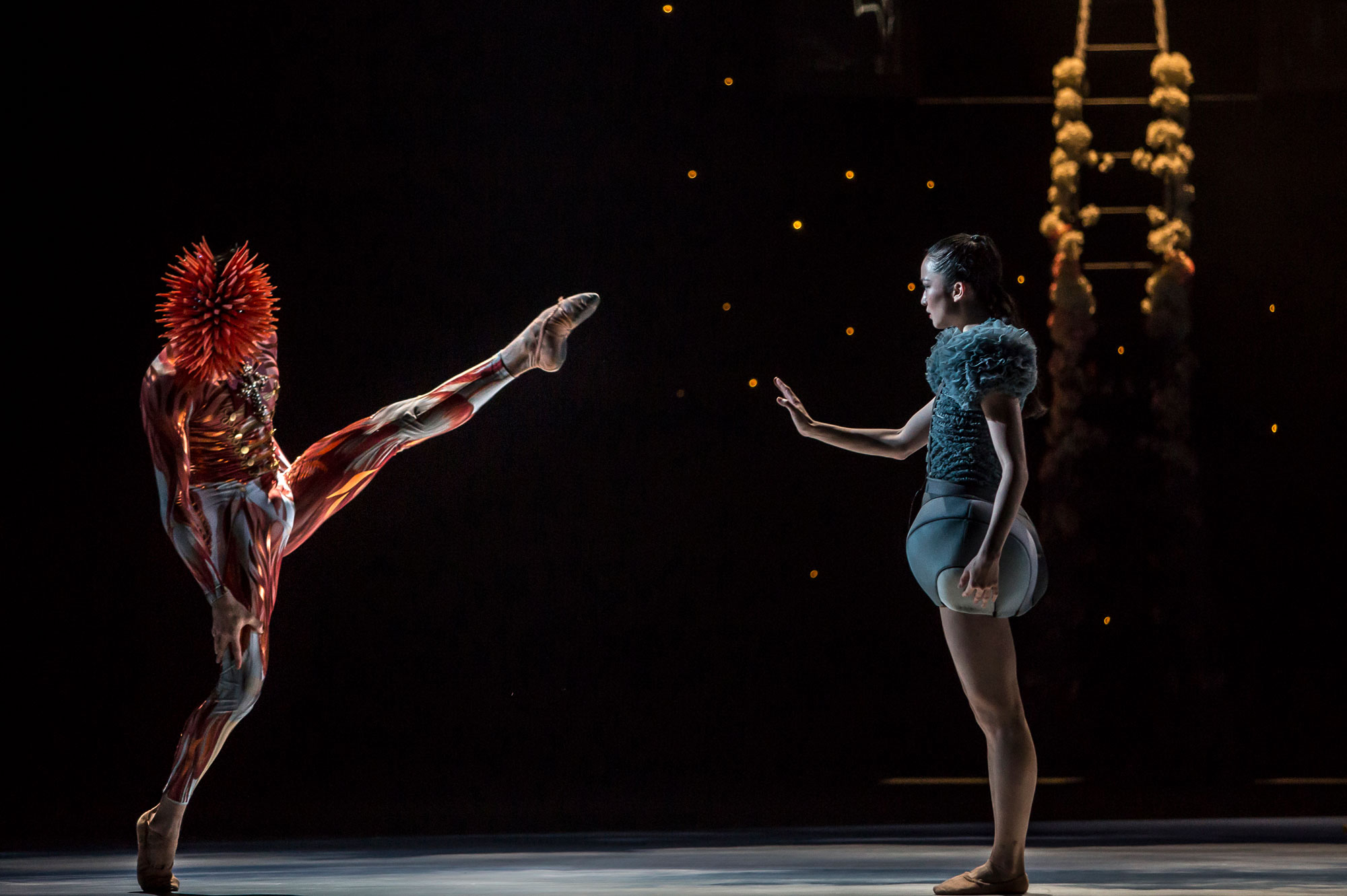 Ballet du Grand Théâtre de Genève, Casse-Noisette de Piotr Illitch Tchaïkovski, novembre 2014. Chorégraphie : Jeroen Verbruggen.  Nahuel Vega (Le Prince des Noix) et Sara Shigenari (Marie)