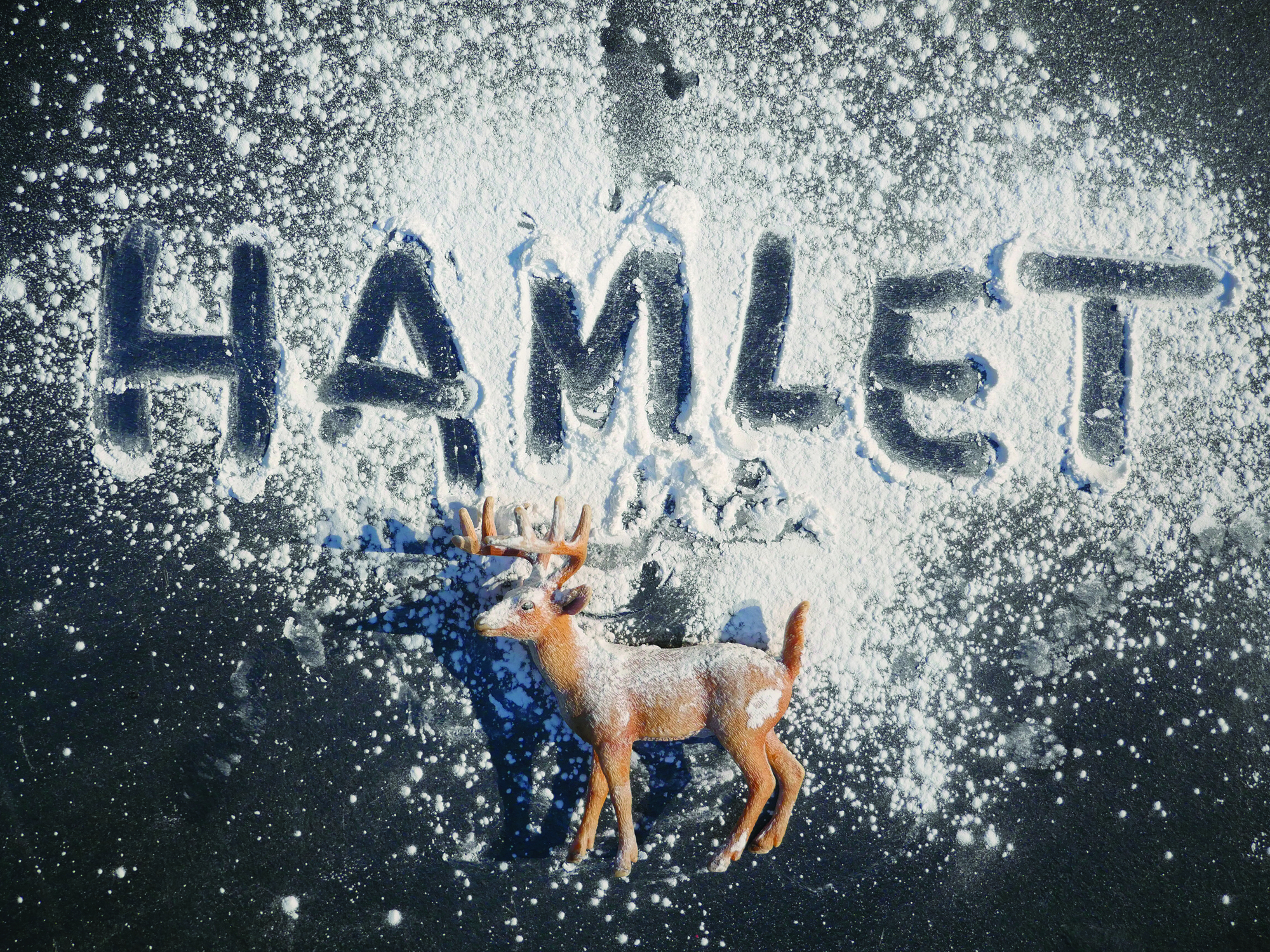 Hamlet et nous