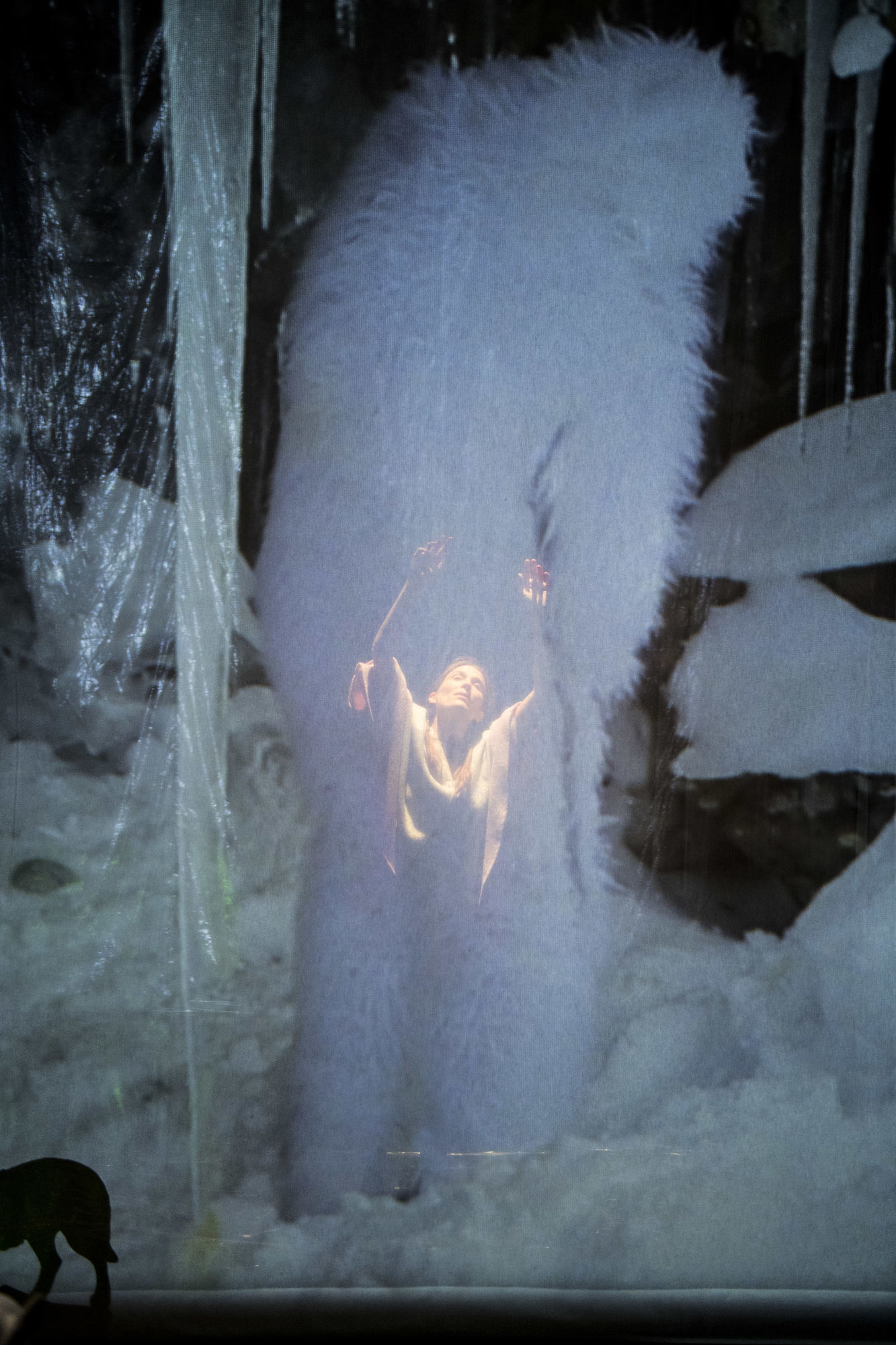 La forêt de glace