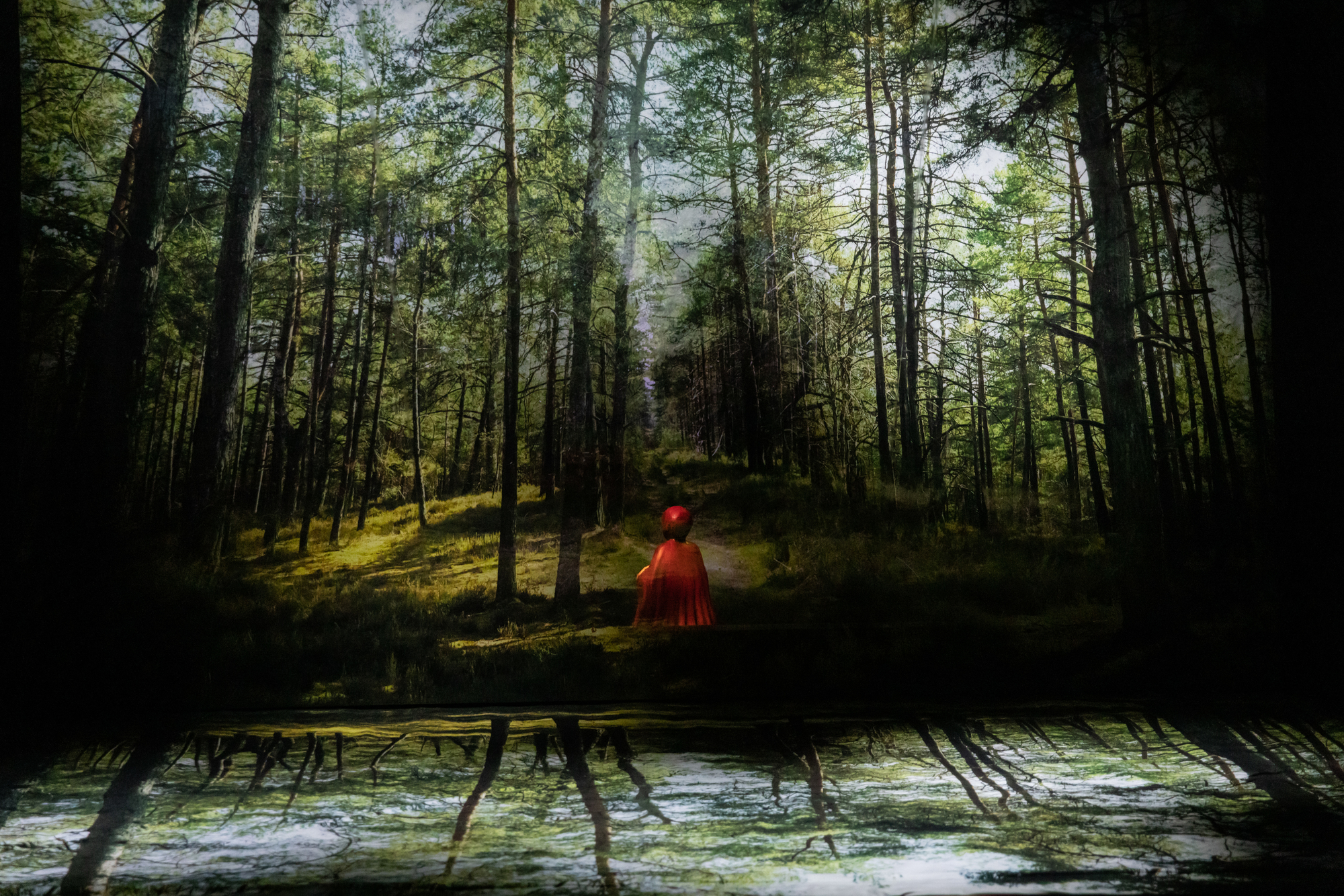 Le Petit Chaperon rouge