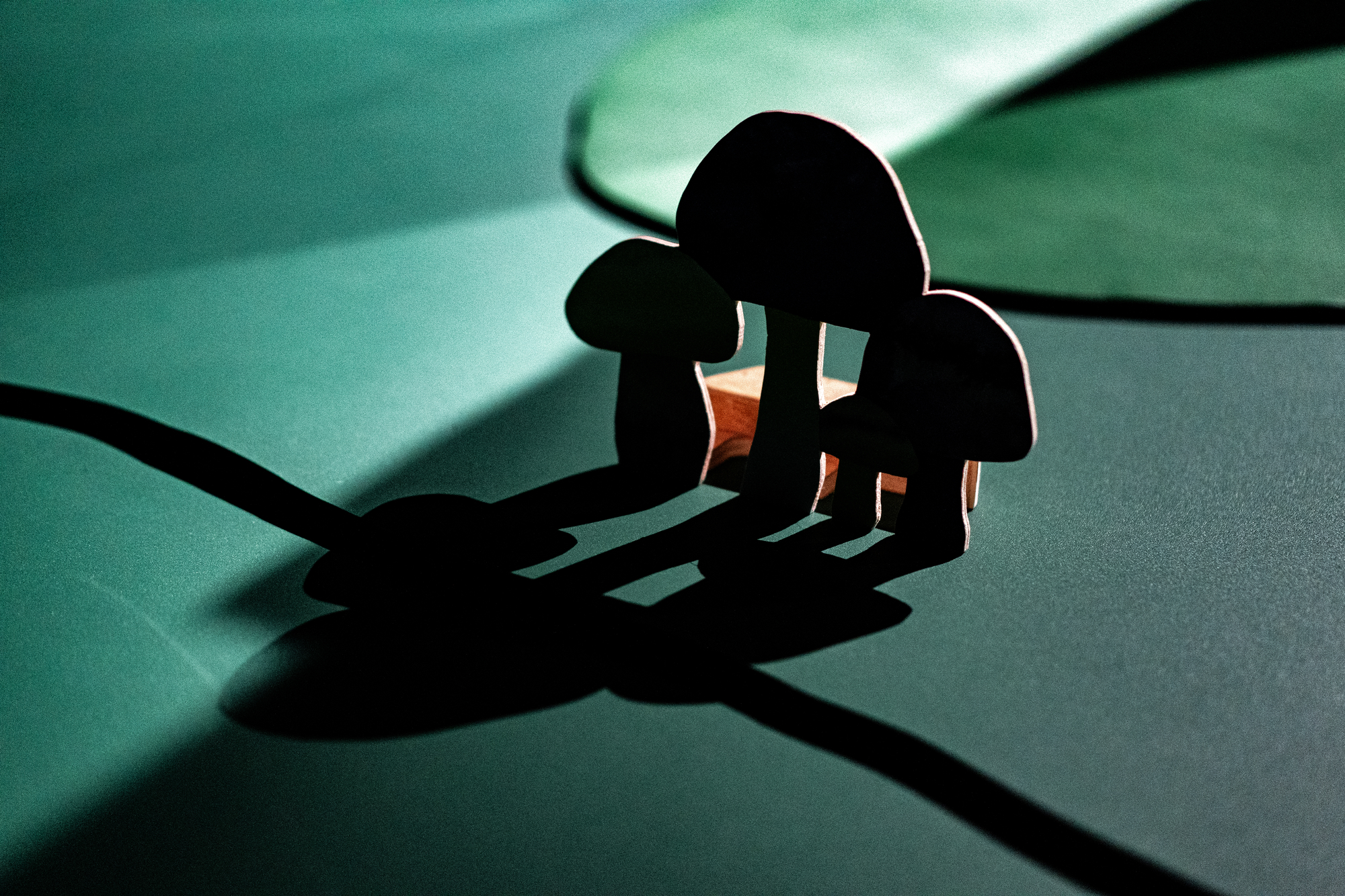 Le Silence des champignons