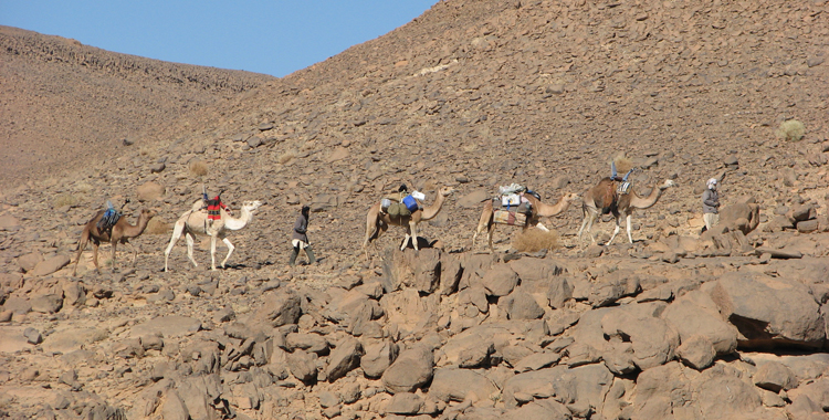 Le Sahara, désert habité et terre de passage