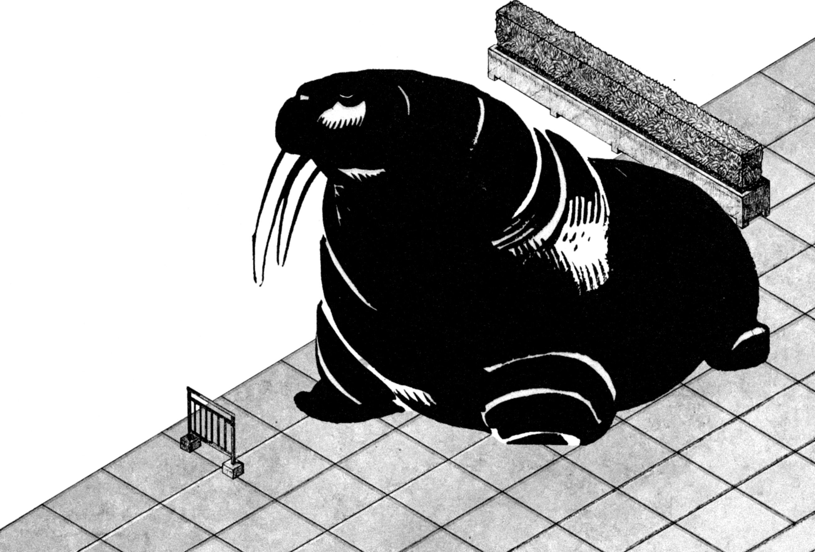 Visuel de la saison 25/26