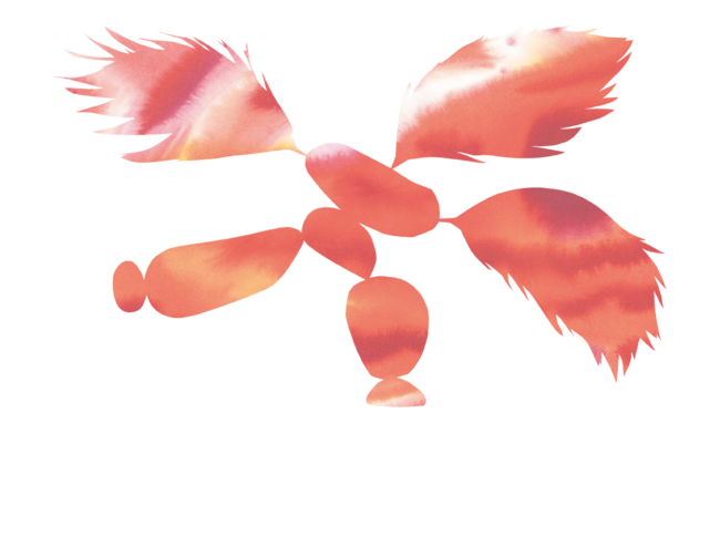 3 plumes